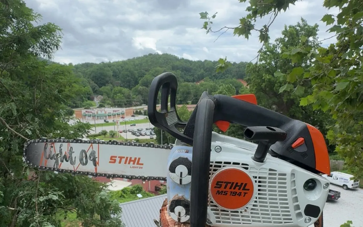 A STIHL chainsaw resting on a fresh-cut stump, with the valley and town below visible past the treeline.